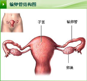 女性卵巢囊肿有什么危害