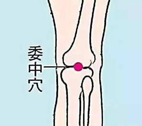 刺激哪些穴位能提高性能力