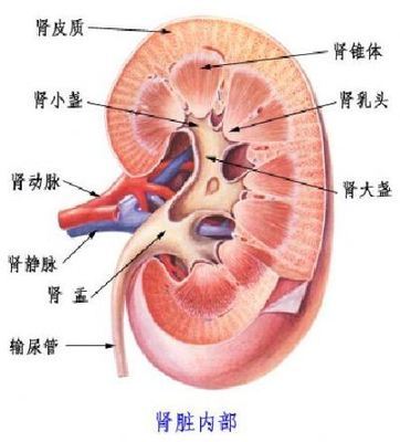 女人腰酸是什么原因引起的