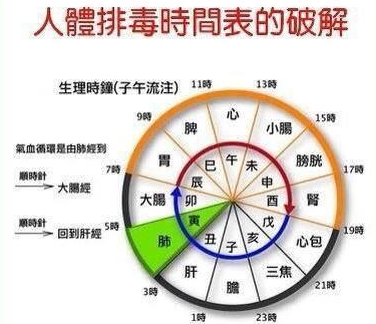 体内排毒的最快方法