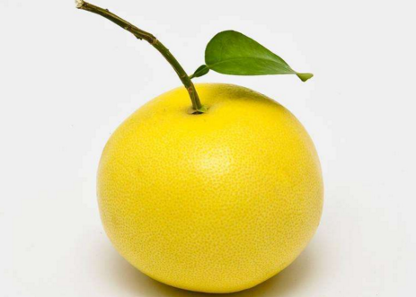 柚子的功效与作用 去除色斑及减肥