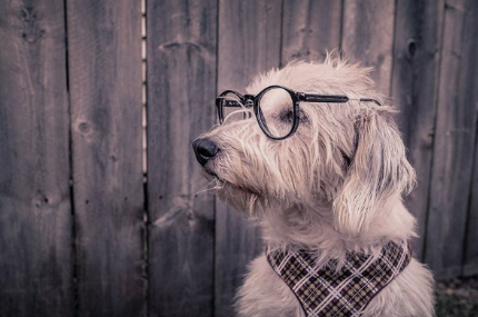 小儿脑瘫能不能治愈?